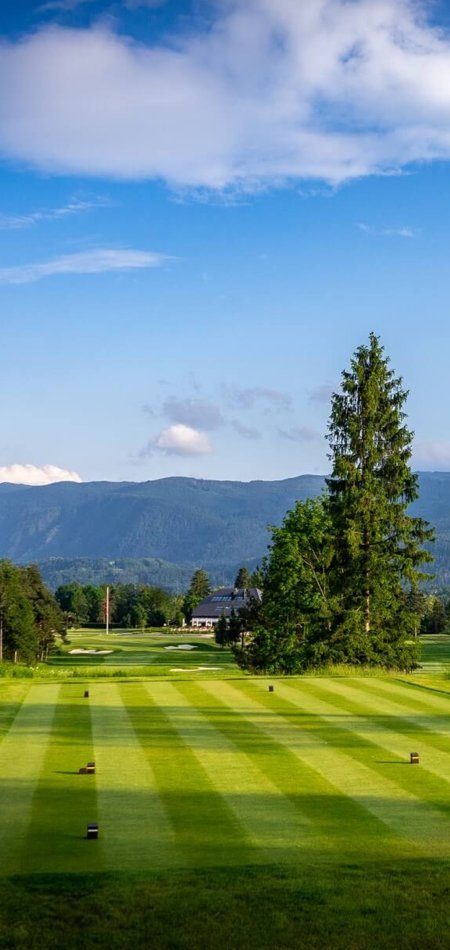 App terms and conditions