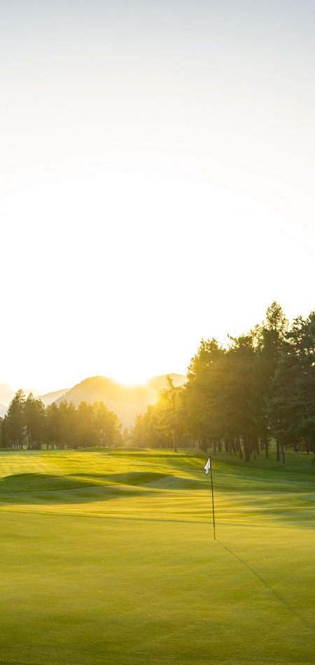 Golf Insights